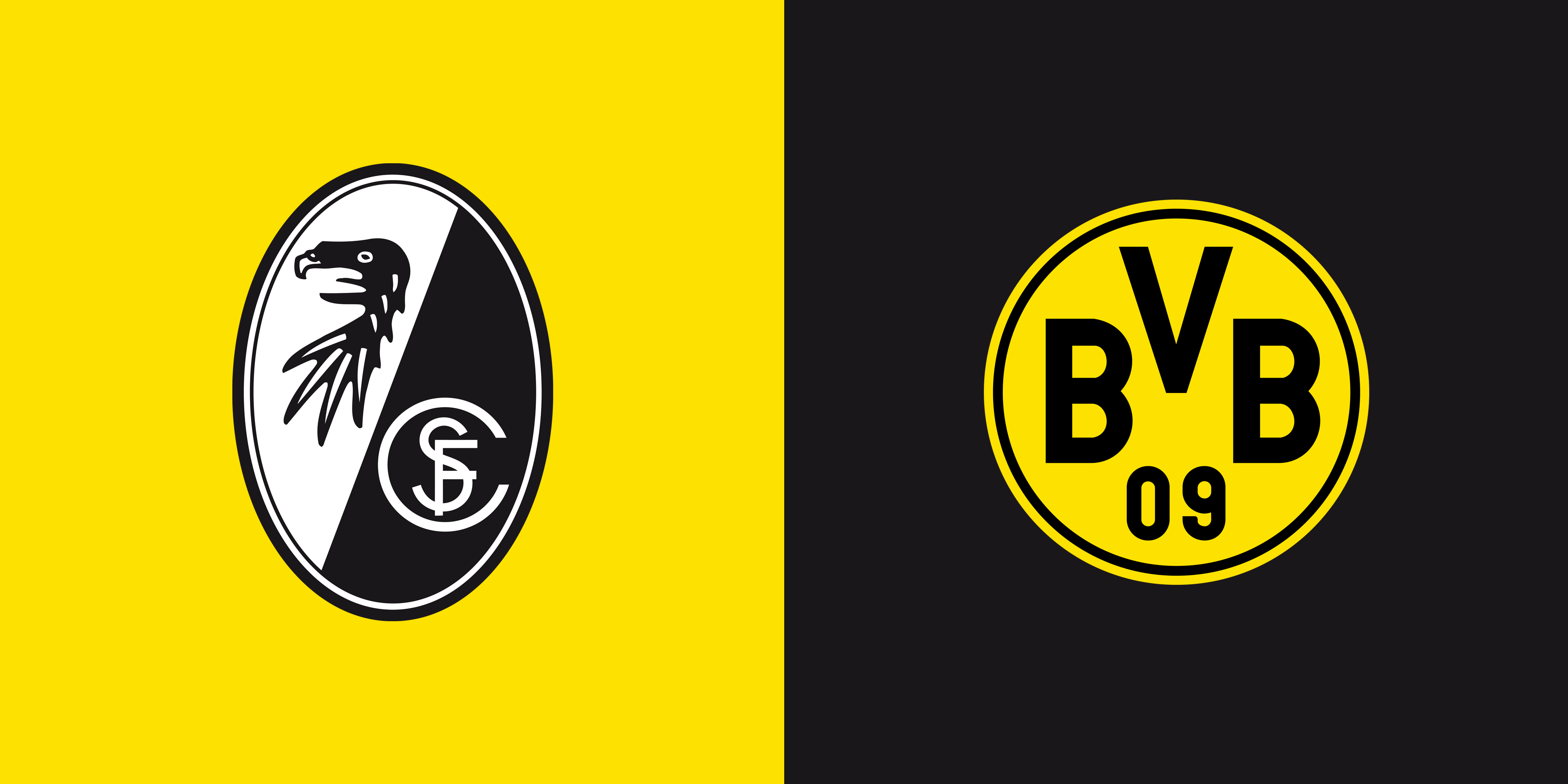 朝阳金苑小区消防维保